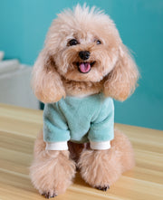 ペットウェア トレーナー ペット用 犬用 猫用 犬服 ドッグウェア ベルベット調 ラウンドネック ペットグッズ 花モチーフ 無地 ボーダー 水玉 ヒョウ柄 可愛い おしゃれ 防寒 あったか 秋 冬