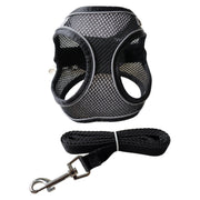 ハーネス リード 2点セット 犬用 猫用 ペット用品 小型犬 メッシュ 通気性 リーシュ 散歩紐 牽引紐 シンプル おしゃれ かわいい お散歩 お出かけ 外出 いぬ イヌ ねこ ネコ キャット 無地 単色 バイピング