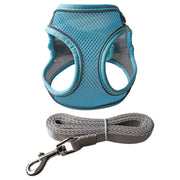 ハーネス リード 2点セット 犬用 猫用 ペット用品 小型犬 メッシュ 通気性 リーシュ 散歩紐 牽引紐 シンプル おしゃれ かわいい お散歩 お出かけ 外出 いぬ イヌ ねこ ネコ キャット 無地 単色 バイピング