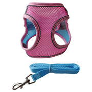ハーネス リード 2点セット 犬用 猫用 ペット用品 小型犬 メッシュ 通気性 リーシュ 散歩紐 牽引紐 シンプル おしゃれ かわいい お散歩 お出かけ 外出 いぬ イヌ ねこ ネコ キャット 無地 単色 バイピング