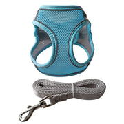 ハーネス リード 2点セット 犬用 猫用 ペット用品 小型犬 メッシュ 通気性 リーシュ 散歩紐 牽引紐 シンプル おしゃれ かわいい お散歩 お出かけ 外出 いぬ イヌ ねこ ネコ キャット 無地 単色 バイピング