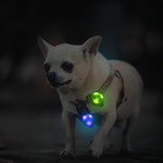 首輪用チャーム LEDライト 光る ペット用アクセサリー 首輪アクセサリー 犬 ドッグ ペット用品 散歩 夜間 夜道 防水 輪っか いぬ イヌ リチウム