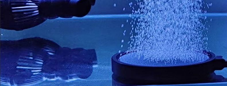 エアストーン 水槽用 エアレーション 丸形 空気石 水泡 商品画像4