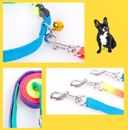 リード＆首輪セット 2点セット 犬用 猫用 リード カラー 散歩紐 鈴付き 首輪 お散歩グッズ グラデーションカラー おしゃれ 可愛い かわいい 小型犬 ペット用品 イヌ用 いぬ用 ネコ用 ねこ用