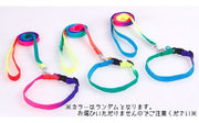 リード＆首輪セット 2点セット 犬用 猫用 リード カラー 散歩紐 鈴付き 首輪 お散歩グッズ グラデーションカラー おしゃれ 可愛い かわいい 小型犬 ペット用品 イヌ用 いぬ用 ネコ用 ねこ用