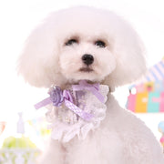 犬用首輪 襟付 カラー 犬 小型犬 お散歩 お出掛け おめかし 犬用品 ペットグッズ アクセサリー フリル レース 取外し可 おしゃれ 上品
