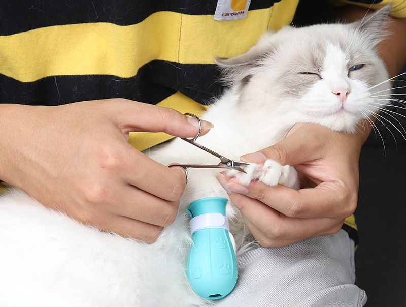 猫用 足カバー 猫靴 手袋 足袋 保護カバー 商品画像3