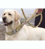 首輪 バックル付き カラー ペット用 犬用 小型犬 中型犬 大型犬 お散歩 お出かけ おしゃれ シンプル カジュアル ペット用品 ペットグッズ