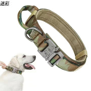 首輪 バックル付き カラー ペット用 犬用 小型犬 中型犬 大型犬 お散歩 お出かけ おしゃれ シンプル カジュアル ペット用品 ペットグッズ
