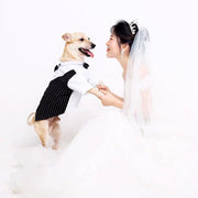 ペットウェア ドッグウェア 犬服 猫服 シャツ ベスト 重ね着風 フォーマル 袖あり 蝶ネクタイ 犬の服 猫の服 ストライプ ペットの服 写真撮影 結婚式 お祝い 記念 ペット用品 おしゃれ イヌ服 ネコ服 タキシード風