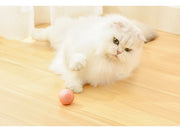 猫用おもちゃ 電動ボール USB充電式 自動回転 ペット用玩具 ネコ 犬 動く LED 光る 一人遊び ストレス解消 運動不足解消 リチウム