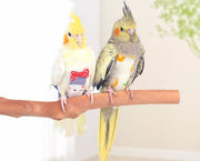 ペット用品 鳥用オムツ おしっこパッド オムツ 鳥 オウム 洋服風 かわいい おしゃれ 快適 便利