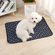 ペットシーツ ペットマット 50x35cm 60x45cm 繰り返し使える 下敷き 吸水 おしっこマット トイレシート  おしっこパッド 漏れ防止 洗える トレーニング