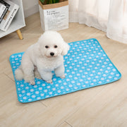 ペットシーツ ペットマット 50x35cm 60x45cm 繰り返し使える 下敷き 吸水 おしっこマット トイレシート  おしっこパッド 漏れ防止 洗える トレーニング