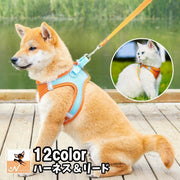 ハーネス リード 2点セット 反射テープ 犬用 猫用 ペット用品 ペットグッズ サイズ調節可能 着脱簡単 縄 胴輪 光る バックル Dカン シンプル おしゃれ かわいい カジュアル お出かけ 散歩 外出 外遊び 公園 ピンク 青 黒 赤 オレンジ