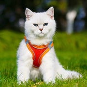 ハーネス リード 2点セット 反射テープ 犬用 猫用 ペット用品 ペットグッズ サイズ調節可能 着脱簡単 縄 胴輪 光る バックル Dカン シンプル おしゃれ かわいい カジュアル お出かけ 散歩 外出 外遊び 公園 ピンク 青 黒 赤 オレンジ