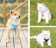 ハーネス リード 2点セット 反射テープ 犬用 猫用 ペット用品 ペットグッズ サイズ調節可能 着脱簡単 縄 胴輪 光る バックル Dカン シンプル おしゃれ かわいい カジュアル お出かけ 散歩 外出 外遊び 公園 ピンク 青 黒 赤 オレンジ