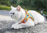ハーネス リード 2点セット 反射テープ 犬用 猫用 ペット用品 ペットグッズ サイズ調節可能 着脱簡単 縄 胴輪 光る バックル Dカン シンプル おしゃれ かわいい カジュアル お出かけ 散歩 外出 外遊び 公園 ピンク 青 黒 赤 オレンジ