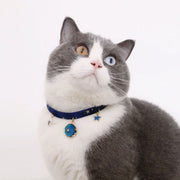 ペット用チョーカー 猫用 犬用 小型犬 子犬 首輪 チャーム付き 星 月 桜 黒猫 クリスマス サイズ調整可能 かわいい おしゃれ ペット用ネックレス キャット ドッグ スター ムーン 飾り付き ペット用品