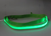 リード ペット用 犬用 単品 光る LED 散歩紐 平紐 犬用品 犬グッズ 小型犬 中型犬 超小型犬 ドッグ イヌ ネコ 猫 シンプル お出かけ お散歩 夜間 早朝 アウトドア DOG  公園 外出 イエロー 黄色 ブルー 青 グリーン 緑 ピンク オレンジ