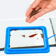 餌拡散防止リング フィーダーカップ 給餌器 魚用エサ皿 水槽 飼育用 吸盤付き エサやり 汚さない 円形 ラウンド 正方形 四角