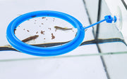 餌拡散防止リング フィーダーカップ 給餌器 魚用エサ皿 水槽 飼育用 吸盤付き エサやり 汚さない 円形 ラウンド 正方形 四角