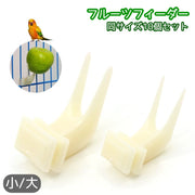 フルーツフィーダー 同サイズ10個セット 10個セット ケージ固定用 フードホルダー フィーダー ペット ペットグッズ 鳥用 小動物用 餌入れ アクセサリー フォーク 小鳥 インコ オウム ハムスター リス