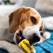 おやつボール ペット用 噛むおもちゃ 犬用 猫用 フードボール 餌入れボール エサ入れボール 早食い防止 トレーニング 訓練 ストレス解消 運動不足 デンタルケア 単色 犬用品
