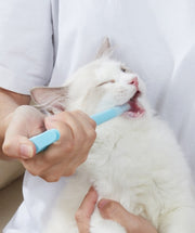 ペット用 経口投薬器 シリンジ ディスペンサー 注射型フィーダー 犬 猫 フィーダーシリンジ プッシュ式 栄養補給 お薬 錠剤 カプセル ペットグッズ ペット用品 イヌ いぬ ネコ ねこ