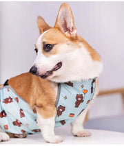 犬用 泥除けエプロン 泥はねガード 雨上がり お出掛け お散歩 レインウエア 小型犬 中型犬 泥はね対策 汚れ防止 冷え予防 防水 通気 ドッググッズ 犬用品