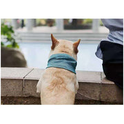 ペット用ネッククーラー 犬用クールバンダナ スカーフ ひんやり 冷感 涼しい 冷たい 熱中症対策 冷却 ペットグッズ ペット用品 イヌ 犬 無地 シンプル カラバリ豊富