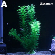 人工水草 人工プランツ 水槽用レイアウト 土台付き 造花 アクアリウムデコレーション 水槽内インテリア アクセサリー オブジェ オーナメント 水槽用品 レイアウト用品 装飾グッズ 内装 観賞魚 熱帯魚 メダカ 金魚 ペット用品