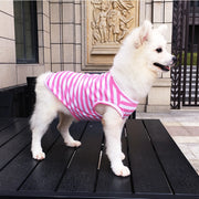 ペットウェア タンクトップ 犬 猫 ドッグ キャット 犬服 小型犬 中型犬 ペット用品 ペットグッズ ボーダー しましま 袖なし プルオーバー シンプル カジュアル かっこいい おしゃれ ヘビロテ お散歩 部屋着 抜け毛対策 赤 ピンク 橙