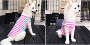 ペットウェア タンクトップ 犬 猫 ドッグ キャット 犬服 小型犬 中型犬 ペット用品 ペットグッズ ボーダー しましま 袖なし プルオーバー シンプル カジュアル かっこいい おしゃれ ヘビロテ お散歩 部屋着 抜け毛対策 赤 ピンク 橙