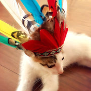 ペット用帽子 ペット 帽子 コスプレ 仮装 イベント ハロウィン パーティー 犬 猫 イヌ ネコ ワンちゃん ネコちゃん 可愛い かわいい アメリカンインディアン風 アメリカインディアン風 羽 フェザー ペットグッズ 面白グッズ 誕生日 バースデー 面白い コスプレグッズ