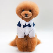 ペットウェア フォーマル シャツ 犬服 猫服 犬用ウェア ドッグウェア 蝶ネクタイ ストライプ スーツ風 バスト風 重ね着風 可愛い おしゃれ お散歩 記念写真 インスタ映え ギフト プレゼント ワンちゃん ネコちゃん イヌ ネコ キャット ドッグ ネイビー 黒