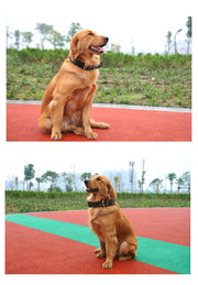 首輪 犬用 犬 犬の首輪 中型犬 大型犬 ペット用品 ペットグッズ 無地 散歩 お出かけ ブラック レッド ブルー アーミーグリーン シンプル