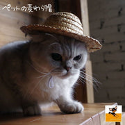 ペット用品 猫ハット 帽子 麦わら帽子 かぶりもの ネコ コスプレ CAT イヌ 犬 紫外線対策 ねこ おもちゃ 玩具 雑貨 グッズ 個性的 可愛い かわいい プレゼント