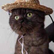 ペット用品 猫ハット 帽子 麦わら帽子 かぶりもの ネコ コスプレ CAT イヌ 犬 紫外線対策 ねこ おもちゃ 玩具 雑貨 グッズ 個性的 可愛い かわいい プレゼント