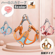 ハーネス リード 2点セット 犬用 猫用 ペット用 反射テープ 光る バックル Dカン 散歩紐 シンプル カジュアル お洒落 かわいい 可愛い 犬 猫 ペット用品 ペットグッズ 散歩 お出かけ 外出