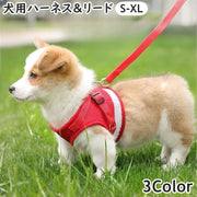 ハーネス リード 2点セット 小型犬 中型犬 イヌ 猫 ネコ ペットグッズ ペット用品 お散歩グッズ 背中開き 背中あき 反射板付き 面ファスナー ワンタッチバックル メッシュ Dカン かわいい キュート カジュアル