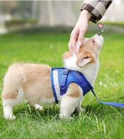 ハーネス リード 2点セット 小型犬 中型犬 イヌ 猫 ネコ ペットグッズ ペット用品 お散歩グッズ 背中開き 背中あき 反射板付き 面ファスナー ワンタッチバックル メッシュ Dカン かわいい キュート カジュアル