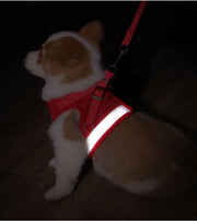 ハーネス リード 2点セット 小型犬 中型犬 イヌ 猫 ネコ ペットグッズ ペット用品 お散歩グッズ 背中開き 背中あき 反射板付き 面ファスナー ワンタッチバックル メッシュ Dカン かわいい キュート カジュアル