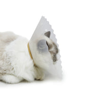 エリザベスカラー Lサイズ 猫 犬 ペット 術後ウェア 介護 透明 軽量 傷口保護 皮膚病 引っかき 傷舐め防止 スナップボタン 簡単装着