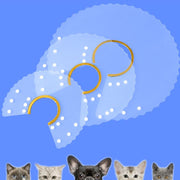 エリザベスカラー Lサイズ 猫 犬 ペット 術後ウェア 介護 透明 軽量 傷口保護 皮膚病 引っかき 傷舐め防止 スナップボタン 簡単装着