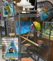小動物用ハウス 小動物用ハンモック 小鳥用ハウス 三角ベッド ベッド 寝床 吊り下げ式 三角形 トライアングル シンプル もこもこ ふわふわ 休憩 ペットグッズ ペット用品