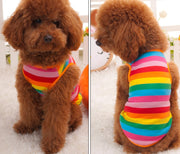 ペットウェア タンクトップ 犬服 猫服 洋服 ドッグウェア キャットウェア ノースリーブ 袖なし プルオーバー ボーダー柄 カジュアル おしゃれ かわいい お散歩 お出かけ 普段使い ペット服 犬の服 ペット用品