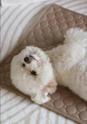 ペットマット 犬用マット 猫用マット 犬用品 ペット用品 35×50cm 座布団 お昼寝 長方形 スクエア シンプル 汚れ防止
