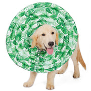 ペット用 犬用 エリザベスカラー ワイドドーナツ ソフト 柔らかい 軽量 傷舐め防止 傷舐め予防 視界確保 介護用品 超小型犬 小型犬 中型犬 大型犬 イヌ用 いぬ用 猫用 ネコ用 ねこ用