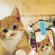 自撮り クリップ ペット用品 ペットグッズ 犬用 猫用 イヌ ネコ セルフィー 写真 撮影補助 スマホ用 カメラ目線 セルカ棒 スマートフォン